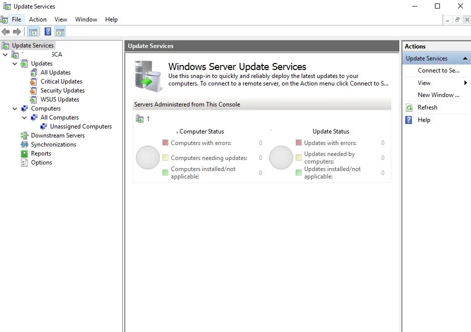 Windows Server Update Services Main Page